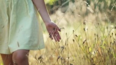 Günbatımı zaman, Altın ışık romantik görünümü