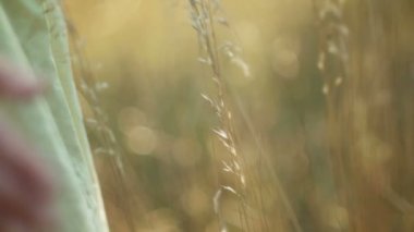 Günbatımı zaman, Altın ışık romantik görünümü