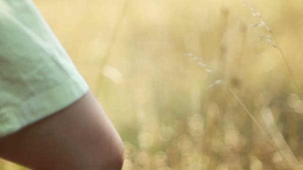 Romantisch uitzicht op zonsondergang tijd, gouden licht — Stockvideo