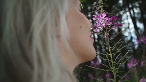 Hermosa chica rubia en la naturaleza — Vídeos de Stock