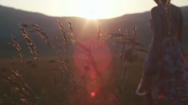 Romantisch uitzicht op zonsondergang tijd, gouden licht — Stockvideo
