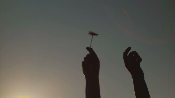 Meisje met bloem op berg, romantische landschap — Stockvideo