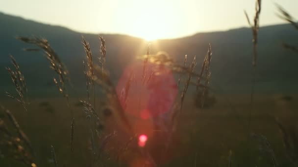 Romantisch uitzicht op zonsondergang tijd, gouden licht — Stockvideo