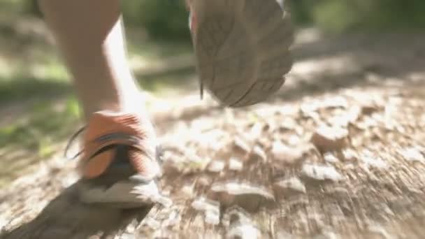 Correr en la naturaleza — Vídeo de stock