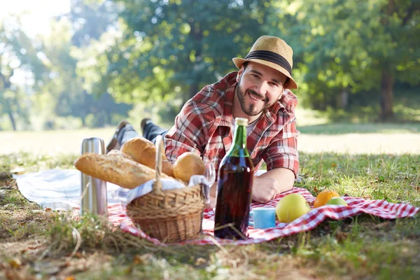 Healthy vegetarian or vegan picnic with a delicious spread of fruits — Stock Photo, Image