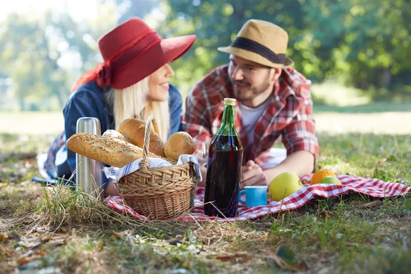 Gezond vegetarisch of veganistisch picnic met een heerlijke verspreiding van vruchten — Stockfoto