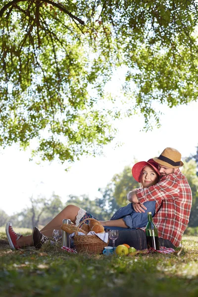 Picnic vegetariano o vegano saludable con una deliciosa variedad de frutas — Foto de Stock