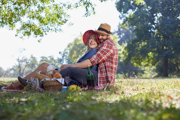 Picnic vegetariano o vegano saludable con una deliciosa variedad de frutas — Foto de Stock