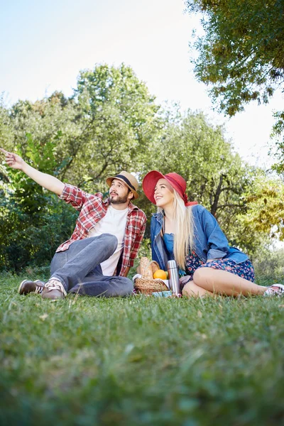 Gezond vegetarisch of veganistisch picnic met een heerlijke verspreiding van vruchten — Stockfoto