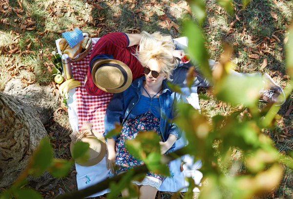 Hermosa pareja joven de picnic en el campo. Familia feliz — Foto de Stock