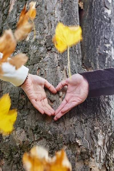 Pareja está poniendo sus manos en el árbol en una forma de corazón . — Foto de Stock