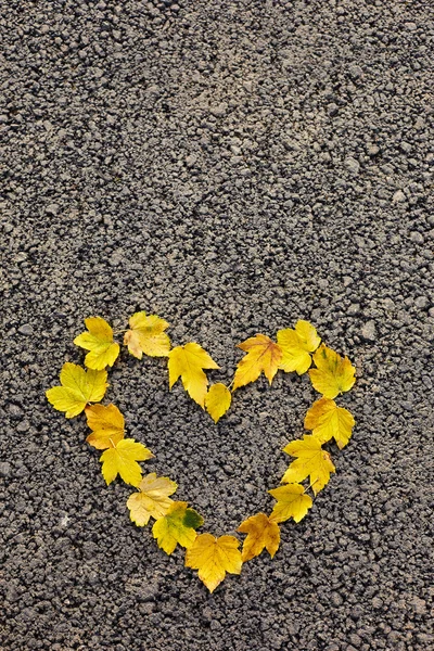 Kleurrijke hart gemaakt van de herfst bladeren — Stockfoto