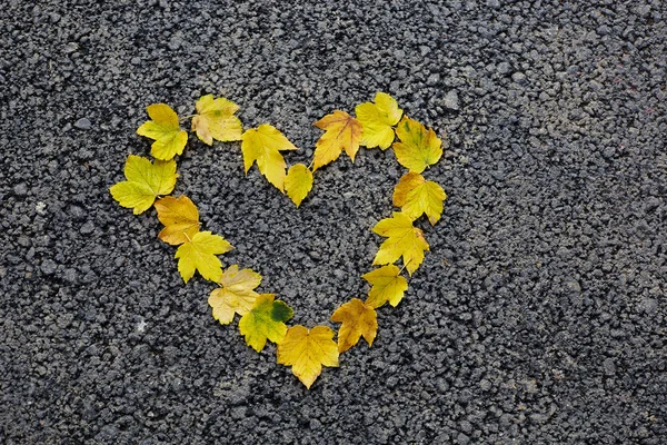 Kleurrijke hart gemaakt van de herfst bladeren — Stockfoto
