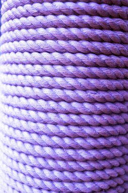 ip kutup çevresinde