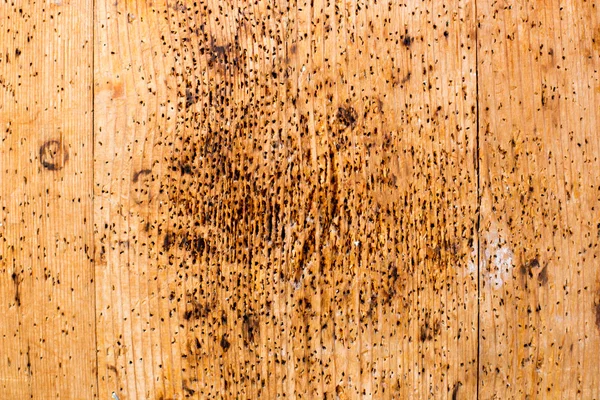 Vecchi assi di legno shabby con vernice di colore incrinato, sfondo — Foto Stock