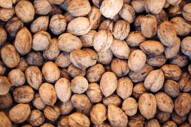 Ceviz arka plan, dağınık ceviz yığını.