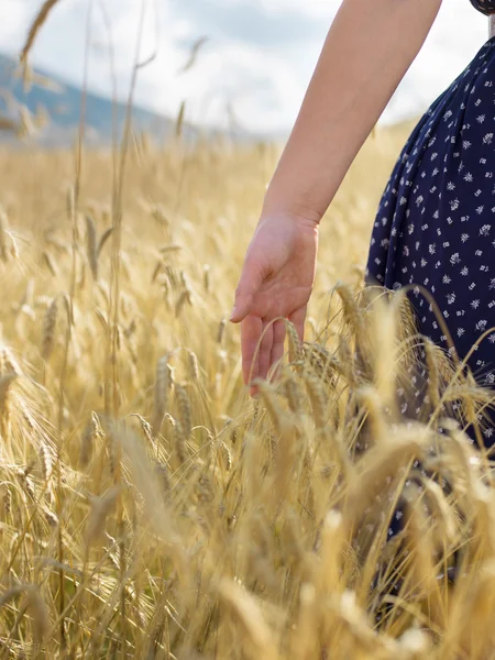 Закройте руку женщины, касающейся золотой травы — стоковое фото