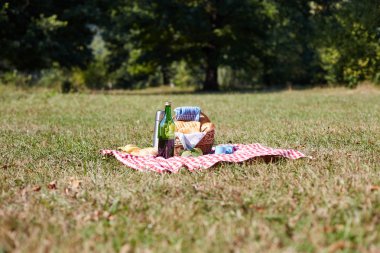 yeşil çim üzerinde piknik sepeti