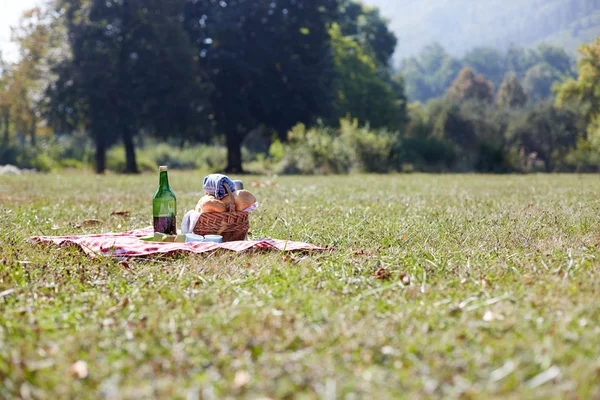 Yeşil çim üzerinde piknik sepeti — Stok fotoğraf