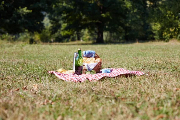 Cesta de piquenique no gramado verde — Fotografia de Stock