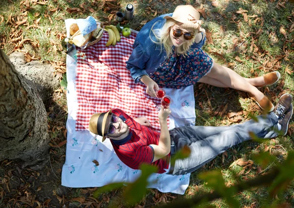 Pareja en un picnic — Foto de Stock