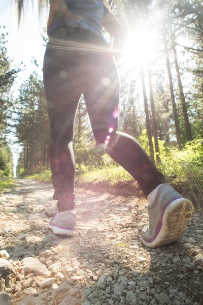 Sport shoes on trail walking in mountains, outdoors activity — Stock Photo, Image