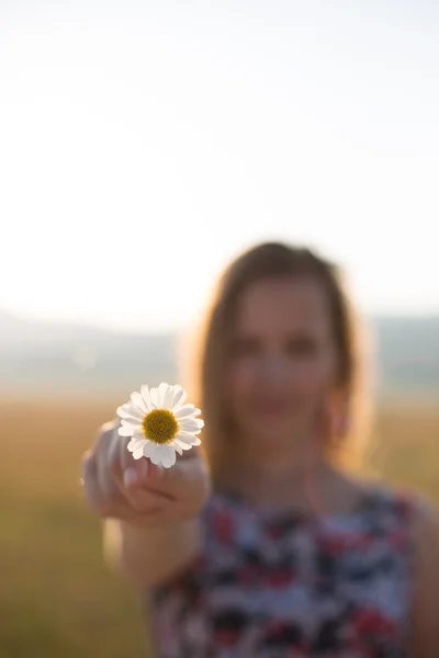 Fleur sur main femme, coucher de soleil sur montagne — Photo