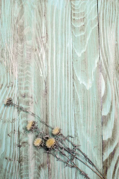 Rama de flores, sobre mesa de madera. Foto tonificada . — Foto de Stock