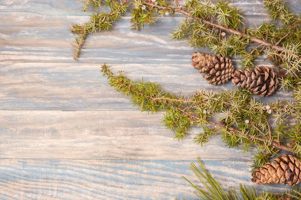 Branche de sapin sur table en chêne teinté d'en haut, ton vintage — Photo