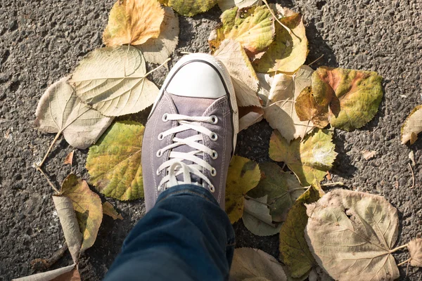 Top Вид человека, стоящего в сухих осенних листьях, входя осенью — стоковое фото
