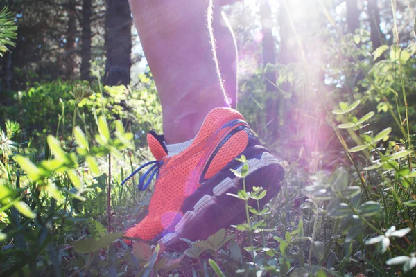 Close up of man walking on nature trail near forest preserve. Co — Stock Photo, Image