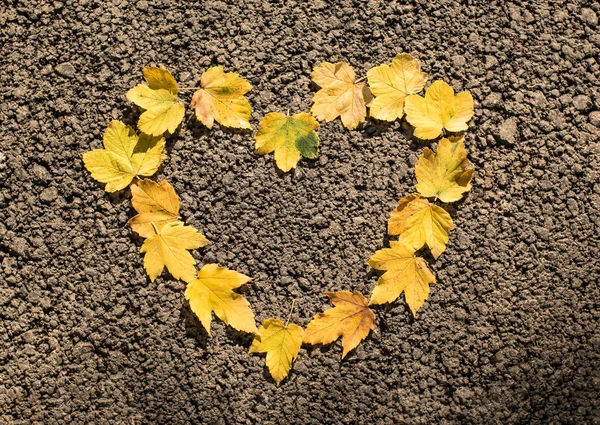 Herbstblätter Herz golden — Stockfoto