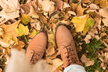 Sonbahar, Sonbahar, yaprakları, bacaklar ve ayakkabılar. kavramsal imge-in benim bacaklar