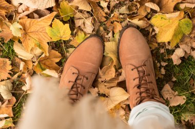 Sonbahar, Sonbahar, yaprakları, bacaklar ve ayakkabılar. kavramsal imge-in benim bacaklar