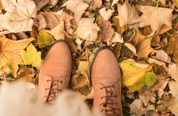 Jesień, jesień, liście, nogi i buty. obraz pojęciowy nogi i — Zdjęcie stockowe