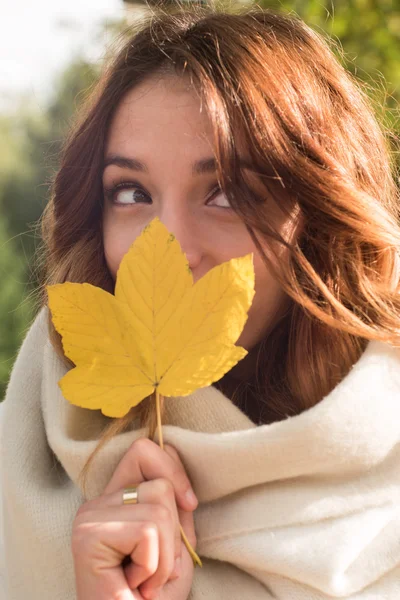 Makijaż jesień modelu, jasne. kobieta na tle jesień krajobraz — Zdjęcie stockowe