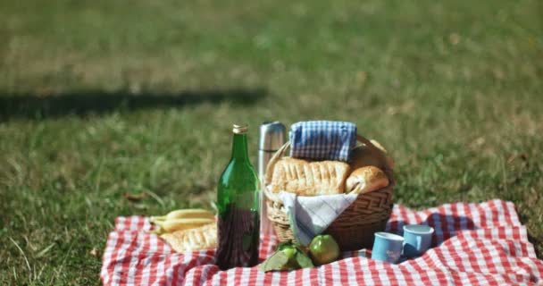 Junge Frau beim Picknick — Stockvideo