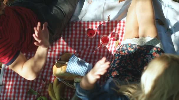 Concetto picnic con sana coppia vegetariana in parco all'aperto — Video Stock