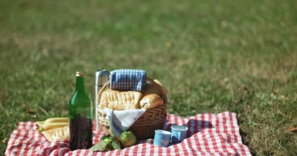 Picknick concept met gezond vegetarisch koppel in park buitenshuis — Stockvideo