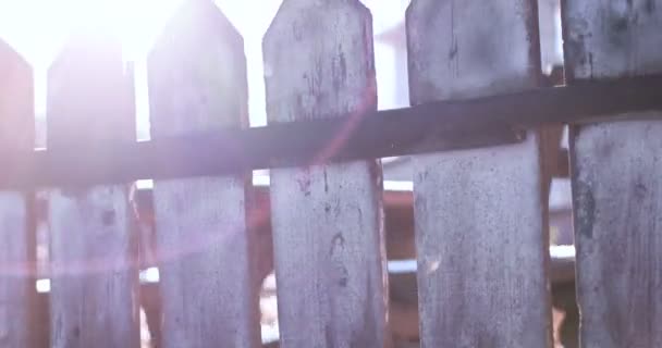 Old shabby wooden fence 4k video, with lens flare, sunny winter day — Stock Video