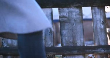 Eski püskü ahşap çit 4k video ile lens flare, güneşli kış günü