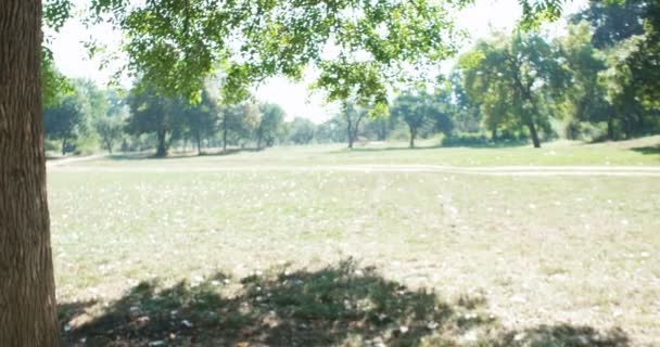 屋外の公園でベジタリアンのカップルのピクニック コンセプト — ストック動画