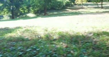 Vejetaryen çift açık Parkta piknik kavramı