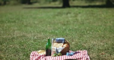 Vejetaryen çift açık Parkta piknik kavramı
