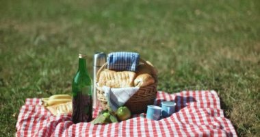 Vejetaryen çift açık Parkta piknik kavramı