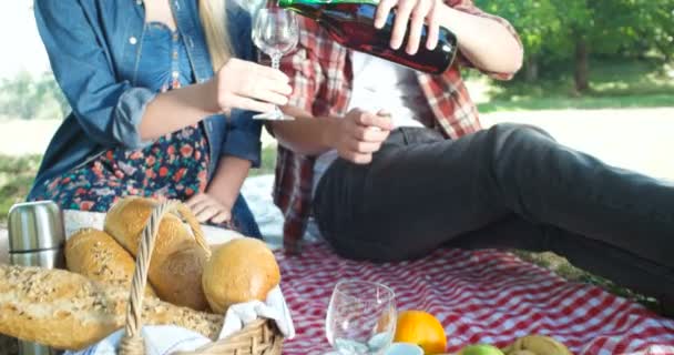 Concepto de picnic con pareja vegetariana en parque al aire libre — Vídeo de stock