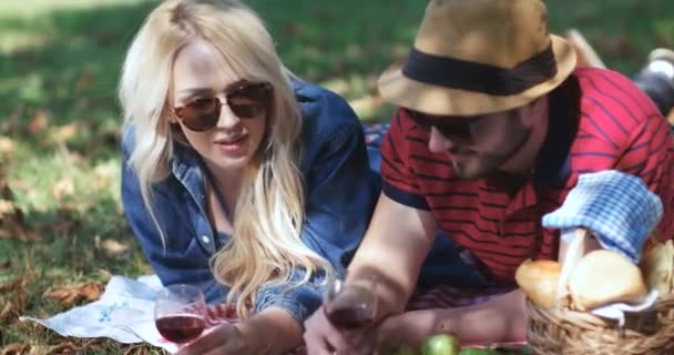Piknik koncepció vegetáriánus pár-kültéri parkban — Stock videók