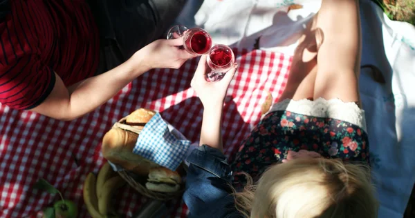 Koncepcja piknik z wegetariańskie para w parku odkryty — Zdjęcie stockowe