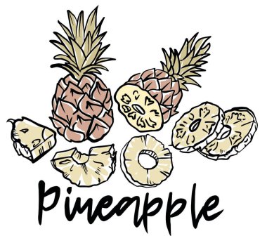 Ananaslı el koleksiyonu, grafik elementler. Vektör çizimi. Menü tasarımı için çizim, broşür çizimi. Çizim. 
