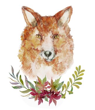 Fox, karakter portresi, kameraya bakmak. El boyası suluboya çizimi, beyaz arka planda izole edilmiş. Poster, baskı, tatil, kartpostal tasarımı.